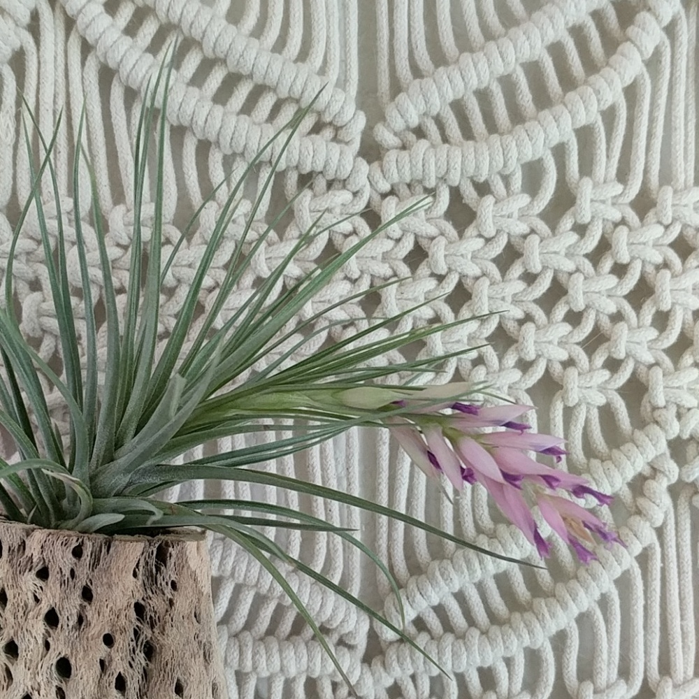 Meet your Posher, Mimi